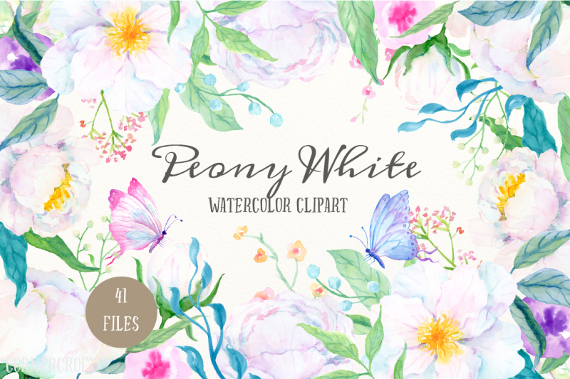 watercolor-clipart-peony-white