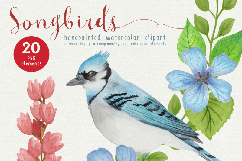 song-bird-watercolor-clipart