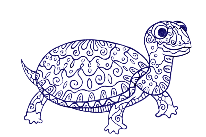 a-picture-of-a-turtle-with-ornament-sketch-by-hand-of-a-ballpoint-pen-the-archive-contains-6-jpeg-300-dpi-on-white-background-6-png-transparent