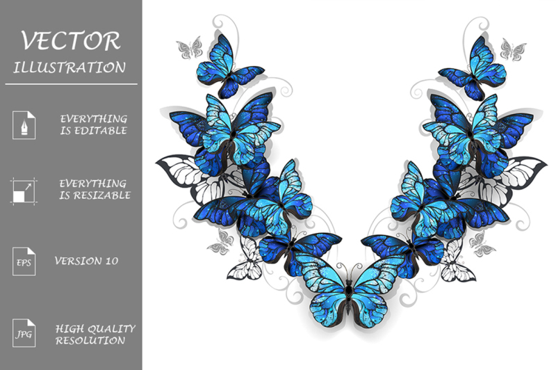 symmetrical-pattern-of-butterflies-morpho