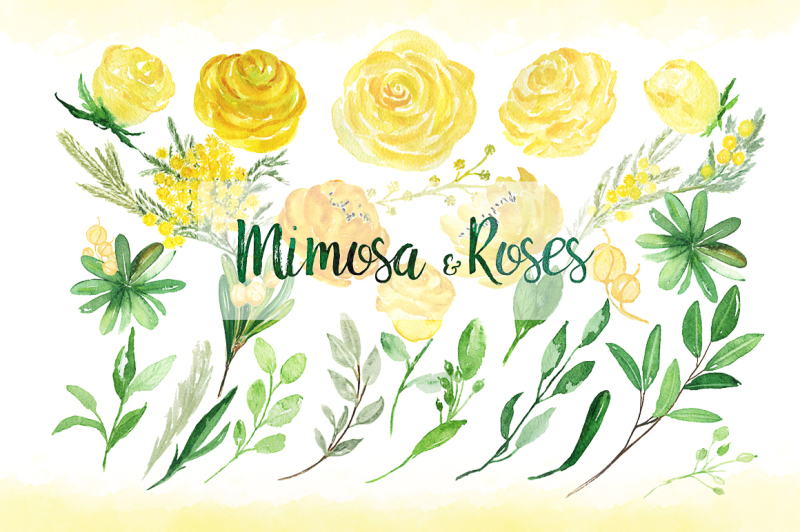 mimosa-and-roses-big-design-set