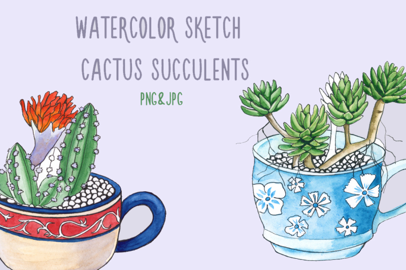 watercolor-sketch-of-a-cactus
