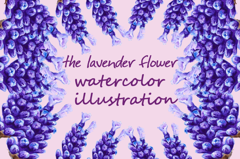 flowers-lavender-watercolor