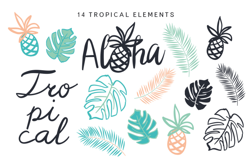 tropical-patterns