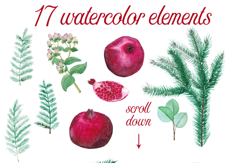 watercolor-pomegranates-floral-clipart