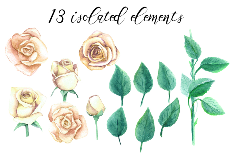 white-roses-and-flourishes-watercolor-set