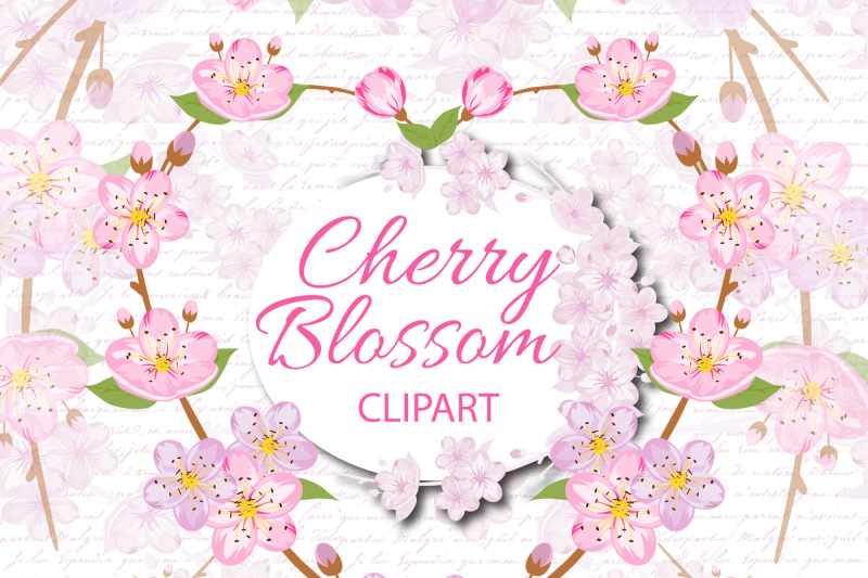 cherry-blossom-clipart