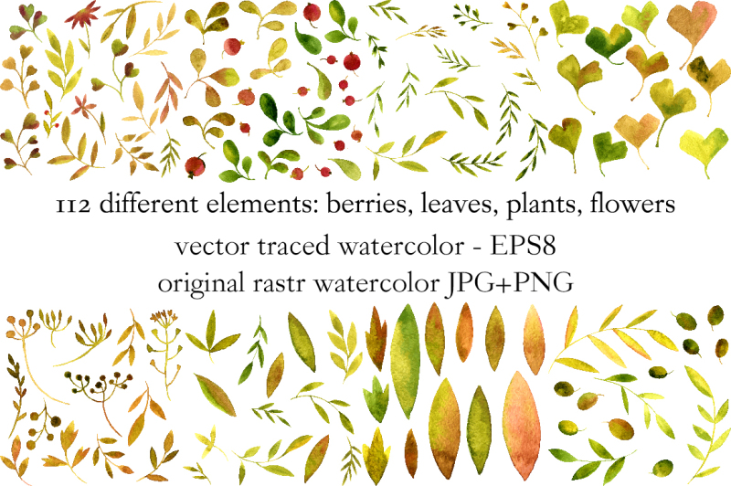 watercolor-plants-and-leaves