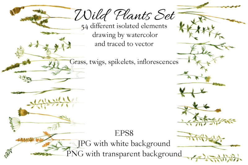 wild-plants-set
