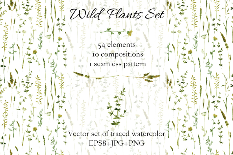 wild-plants-set