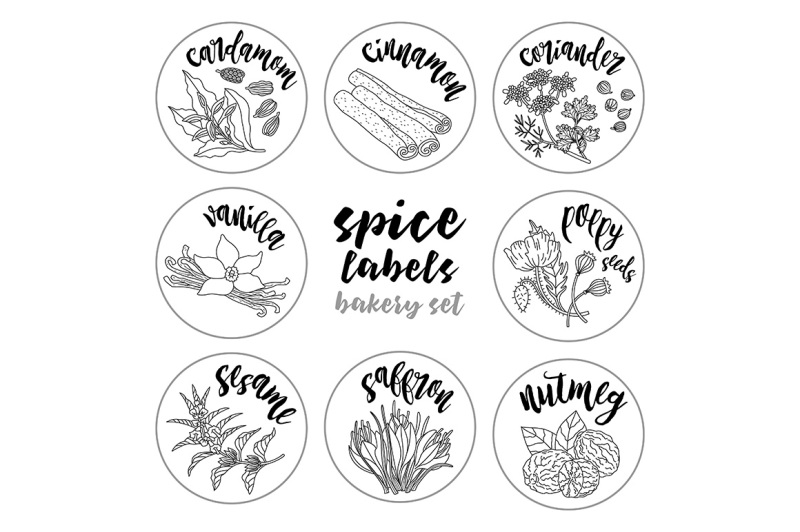 spices-and-herbs-labels-set