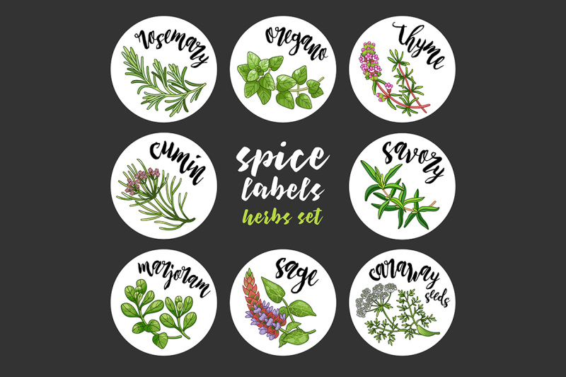 spices-and-herbs-labels-set