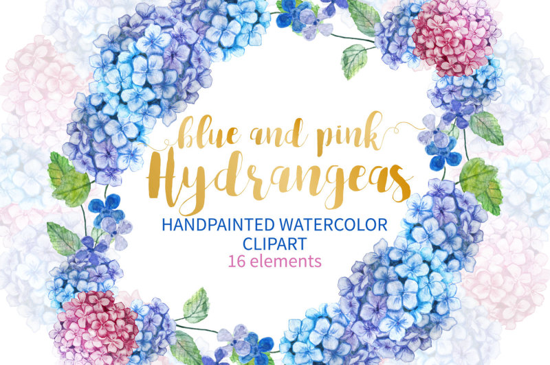 watercolor-hydrangea-clipart