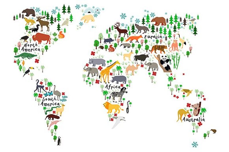 animal-map-of-the-world-for-kids