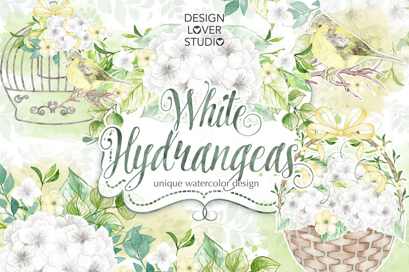 watercolor-white-hydrangea-design