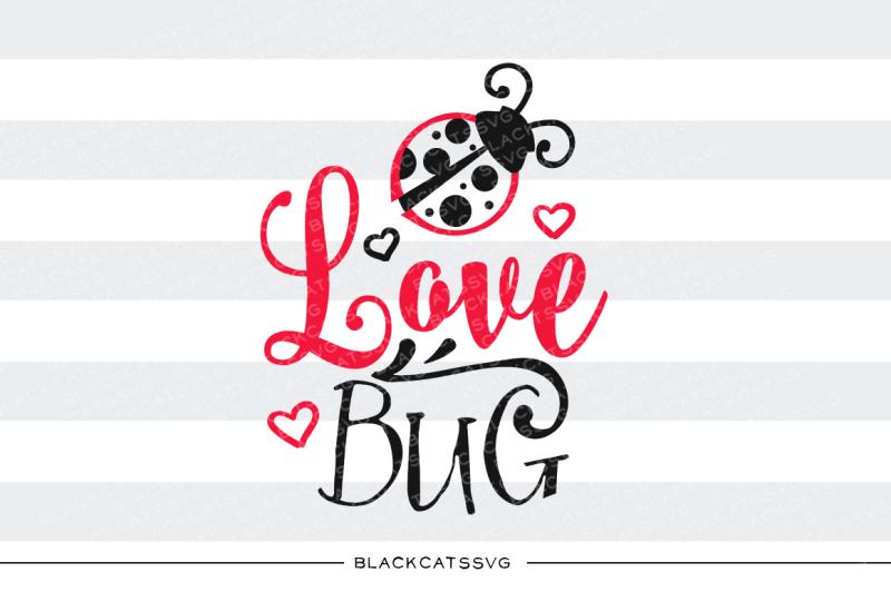 love-bug-ladybug-svg