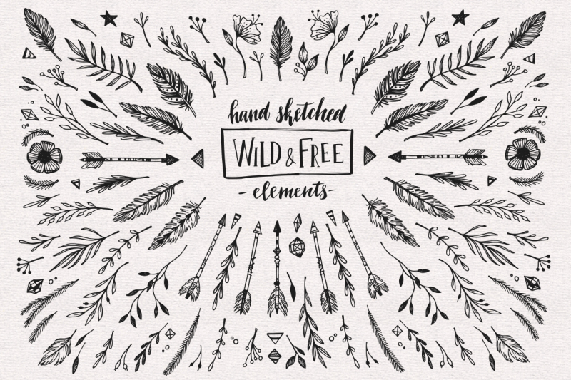 wild-and-free-hand-sketched-elements