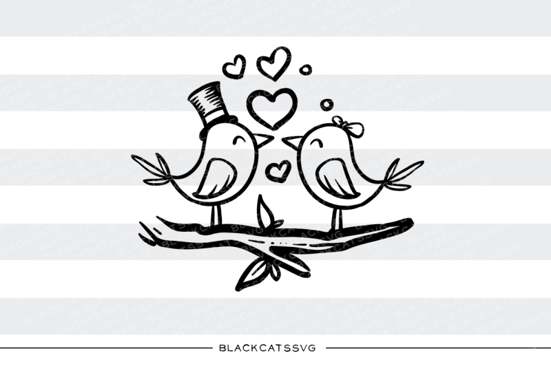 Download Love birds SVG By BlackCatsSVG | TheHungryJPEG.com