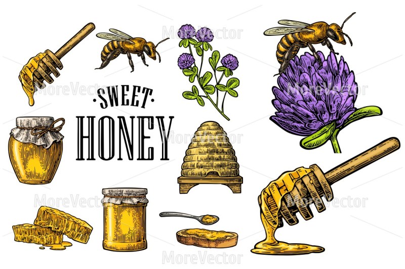 set-horizontal-vertical-and-square-and-posters-with-honey-honeycomb-jar-spoon-bee