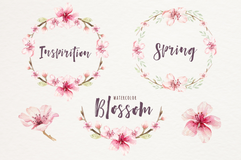 blossom-spring-spirit