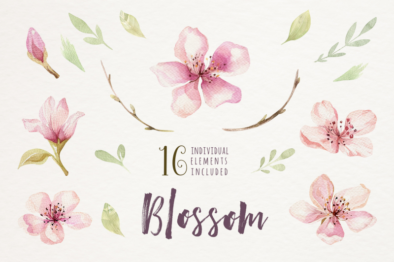blossom-spring-spirit