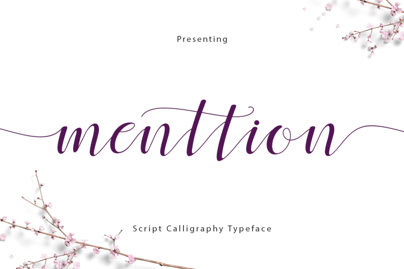 Fadeline Fonts Collection By Thehungryjpeg Thehungryjpeg Com