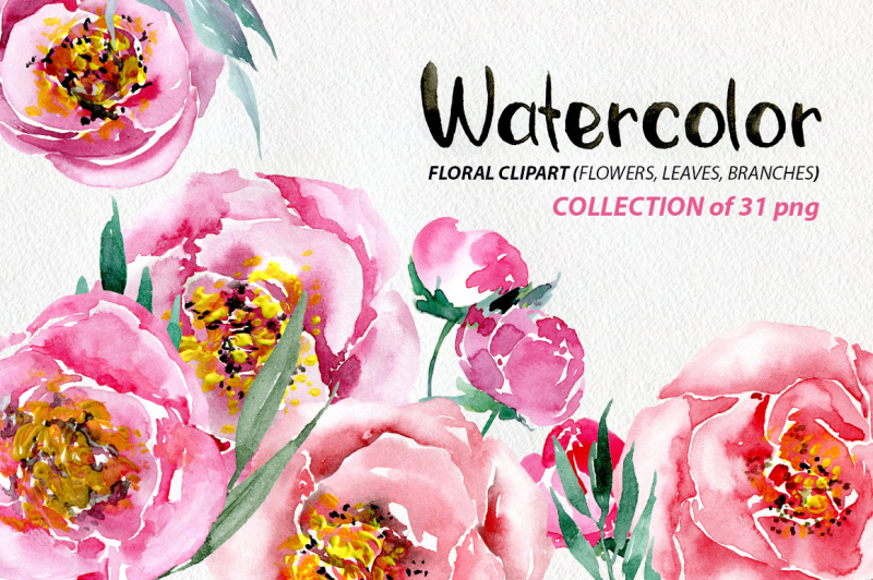 watercolor-flowers-peonies-31-png
