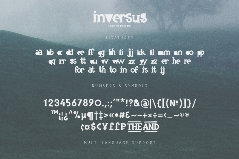 inversus-a-slab-serif-display-font