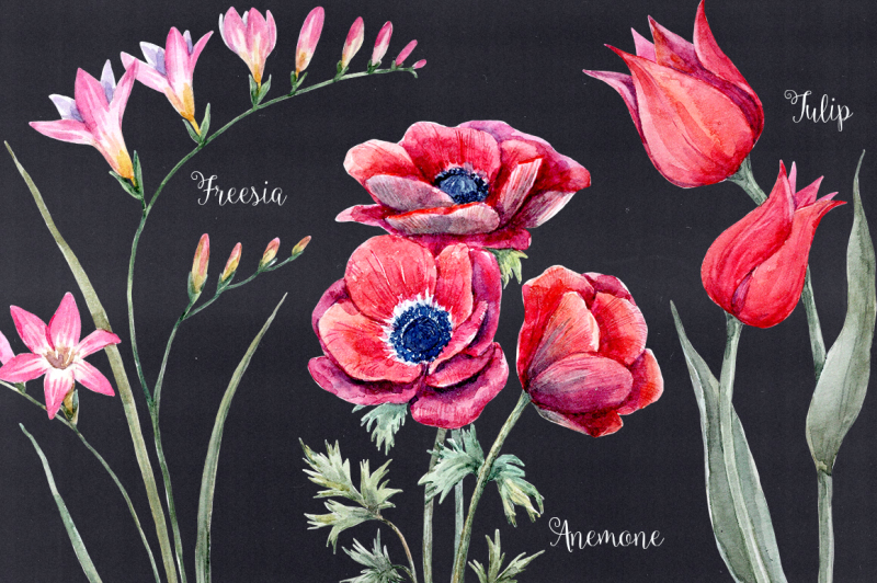 watercolor-flower-set-vector-png-psd