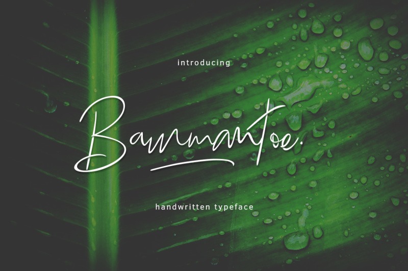bammantoe-typeface