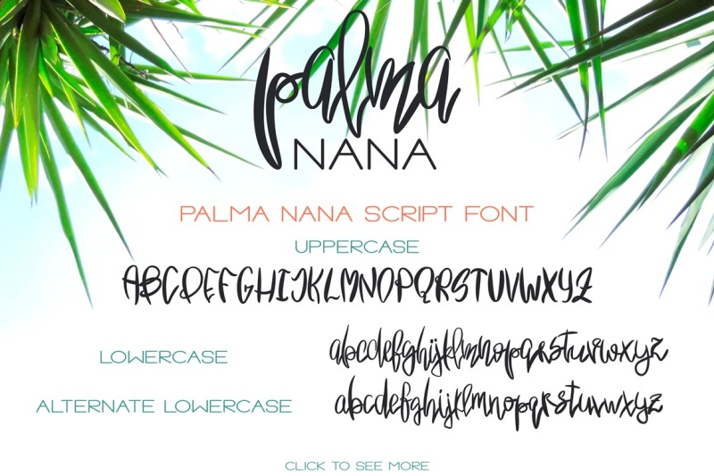 palma-nana-sunny-font-duo