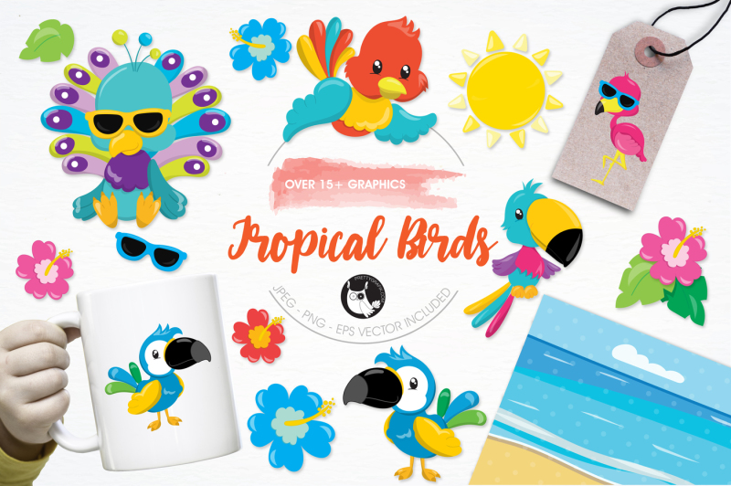 tropical-birds-graphics-and-illustrations