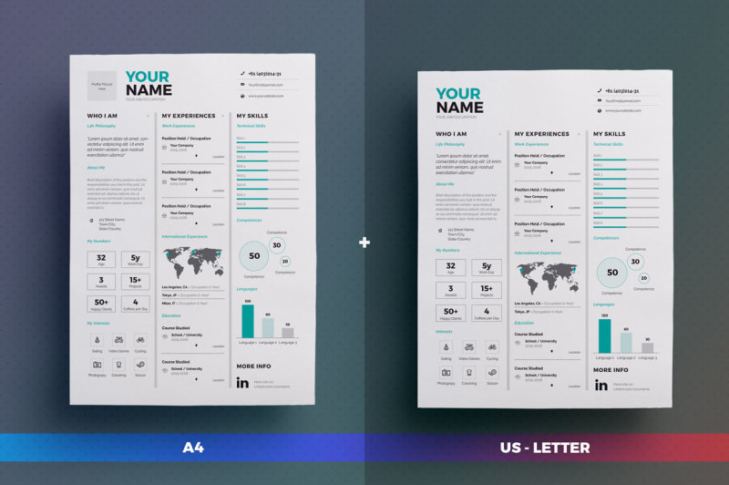 infographic-resume-cv-volume-7-indesign-word-template