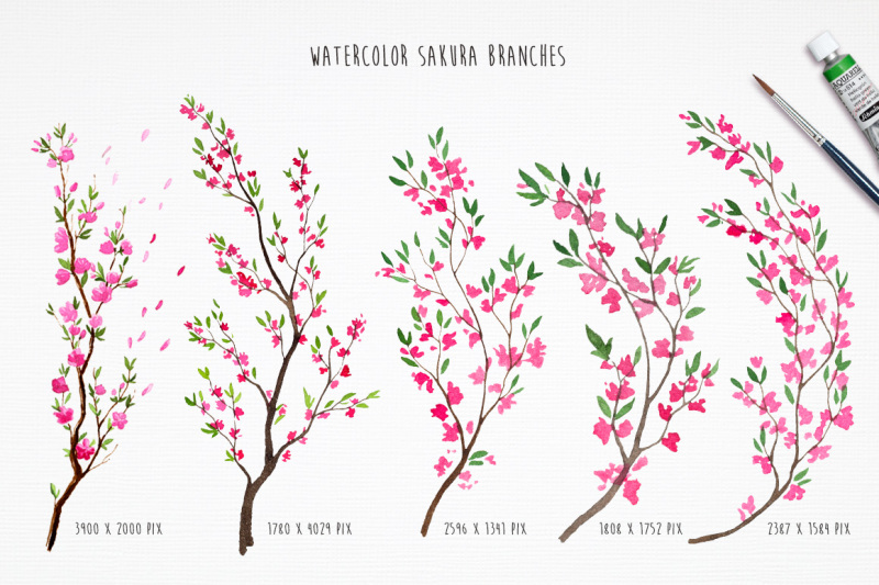 sakura-riot-of-cherry-blossom
