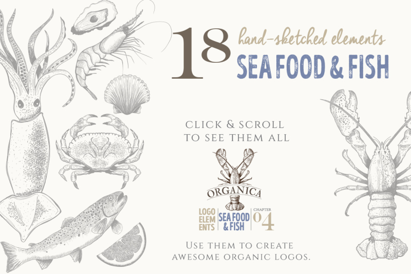 organic-logo-elements-sea-food-and-fish