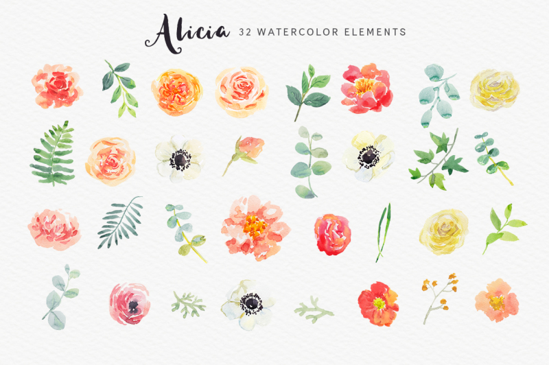 alicia-watercolor-floral-collection