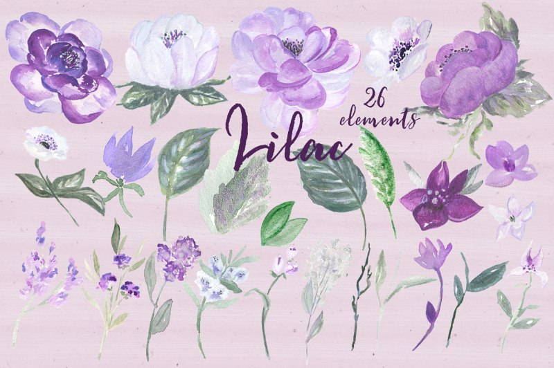 lilac-soft-purple-watercolor-clipart