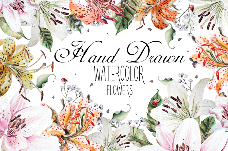 hand-drawn-watercolor-flowers-lily