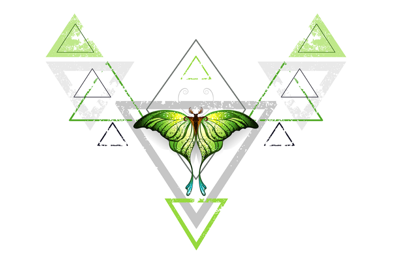 geometric-pattern-with-green-butterfly
