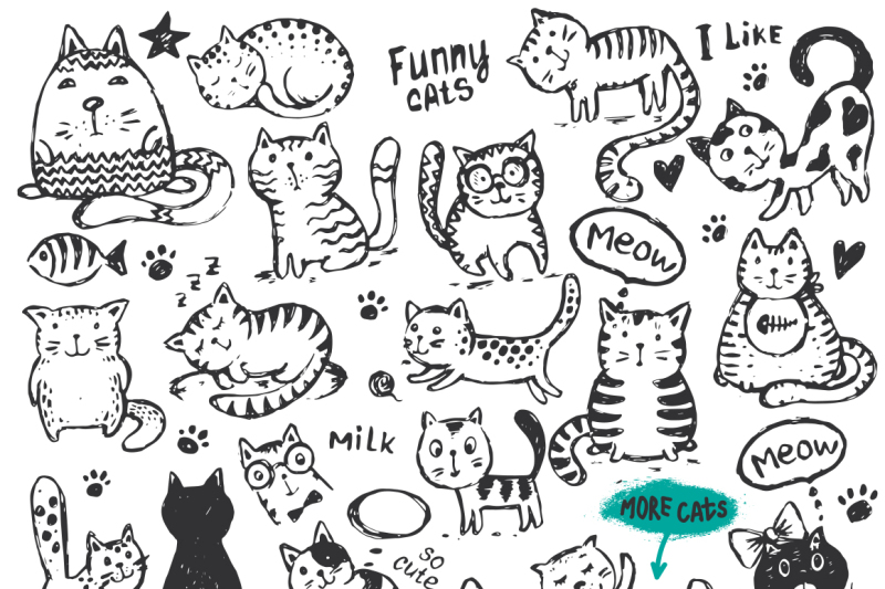 funny-cats-collection