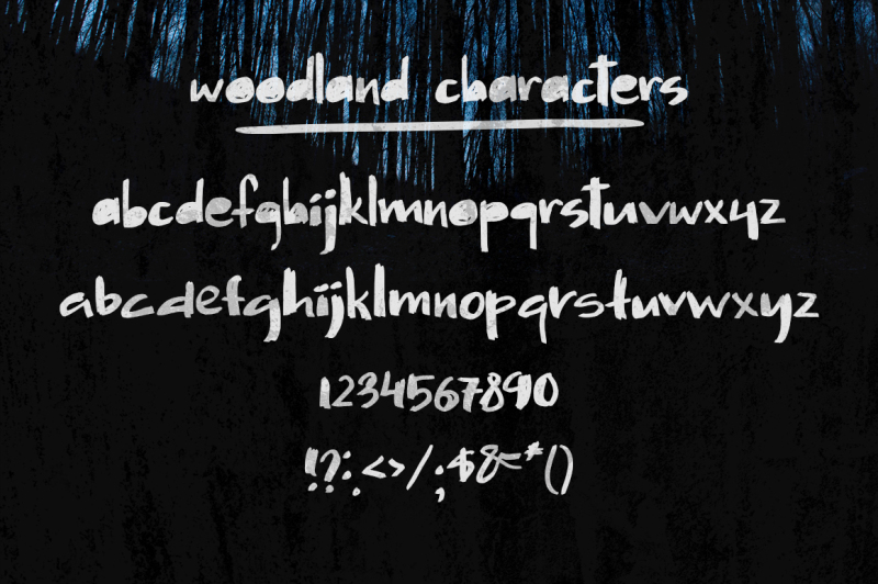 wooland-rough-lowercase-font