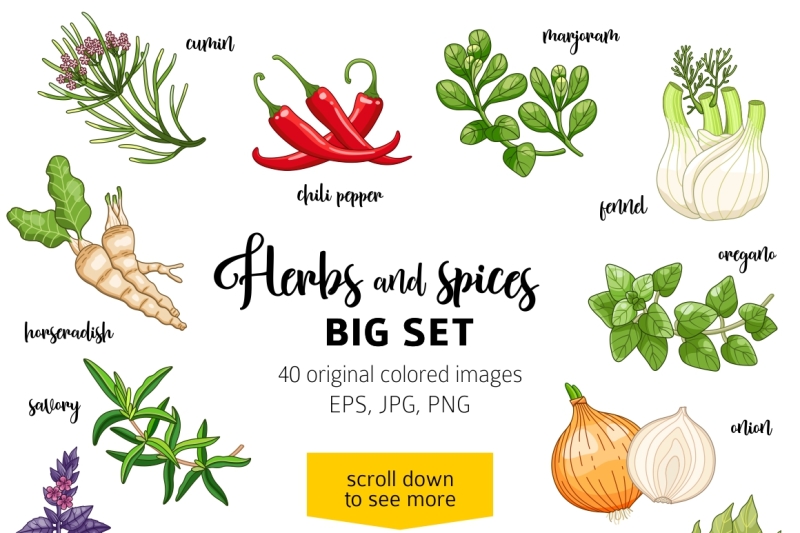 40-colored-spices-and-herbs