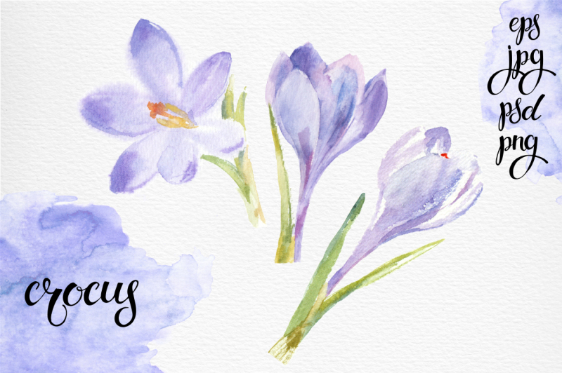 spring-flowers-watercolor-set