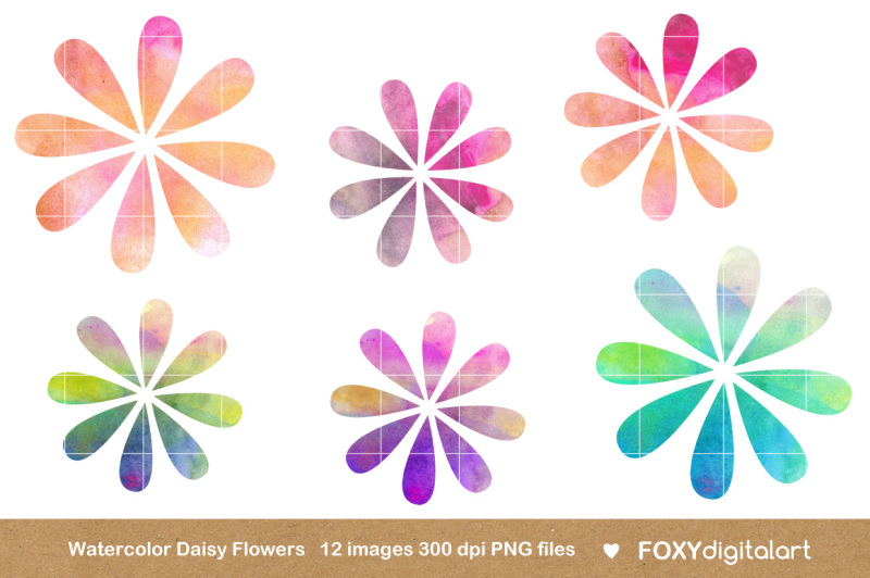 watercolor-flowers-clipart-daisy