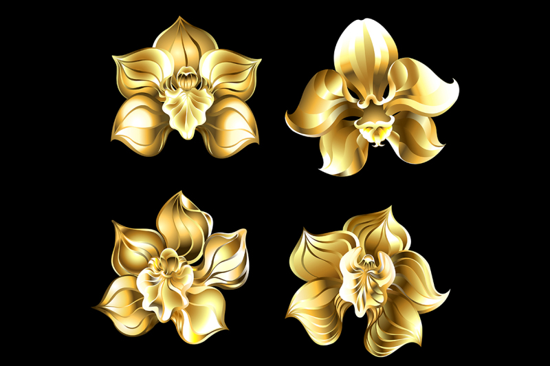 set-of-gold-orchids