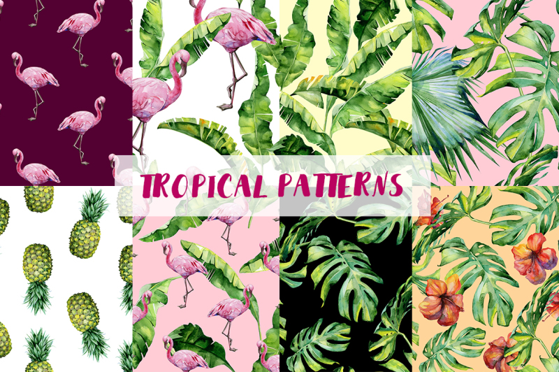 big-set-of-tropical-patterns