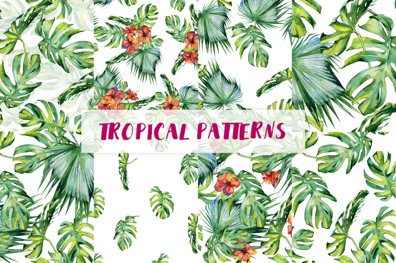 big-set-of-tropical-patterns