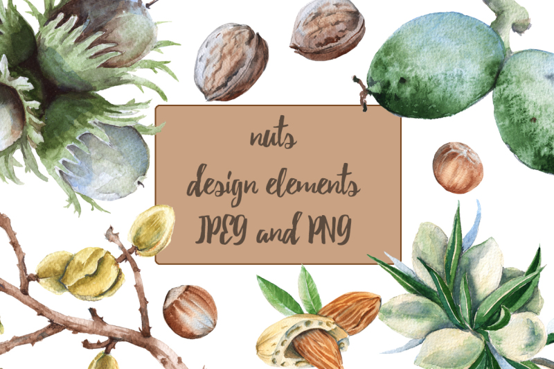 nuts-design-elements