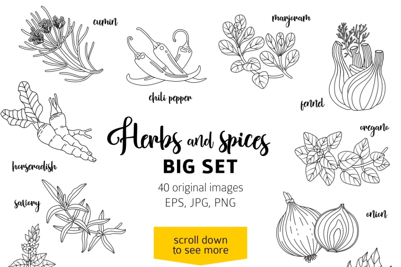 40-spices-and-herbs