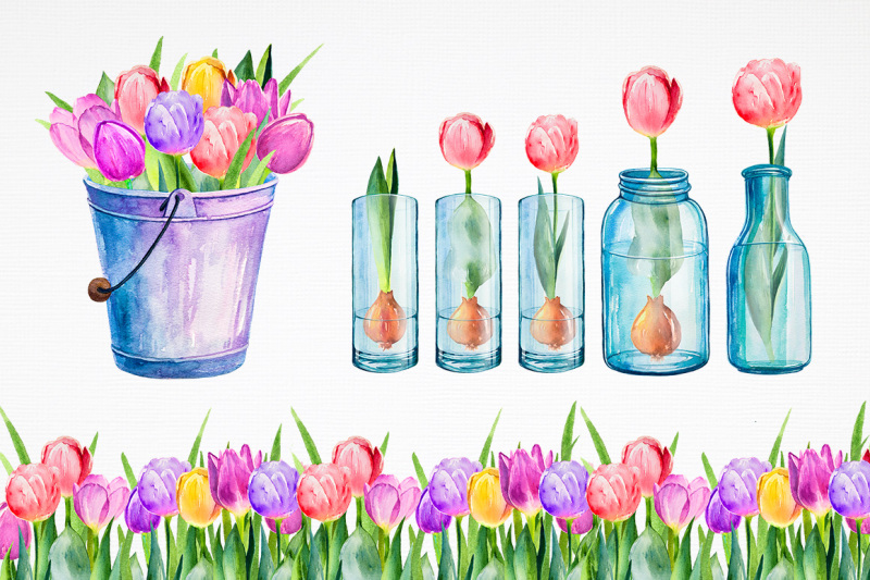 tulips-watercolor-illustrations
